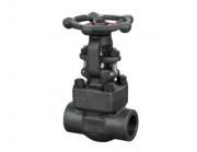 鍛鋼閘閥的顏色為什么通常都是黑色的呢？